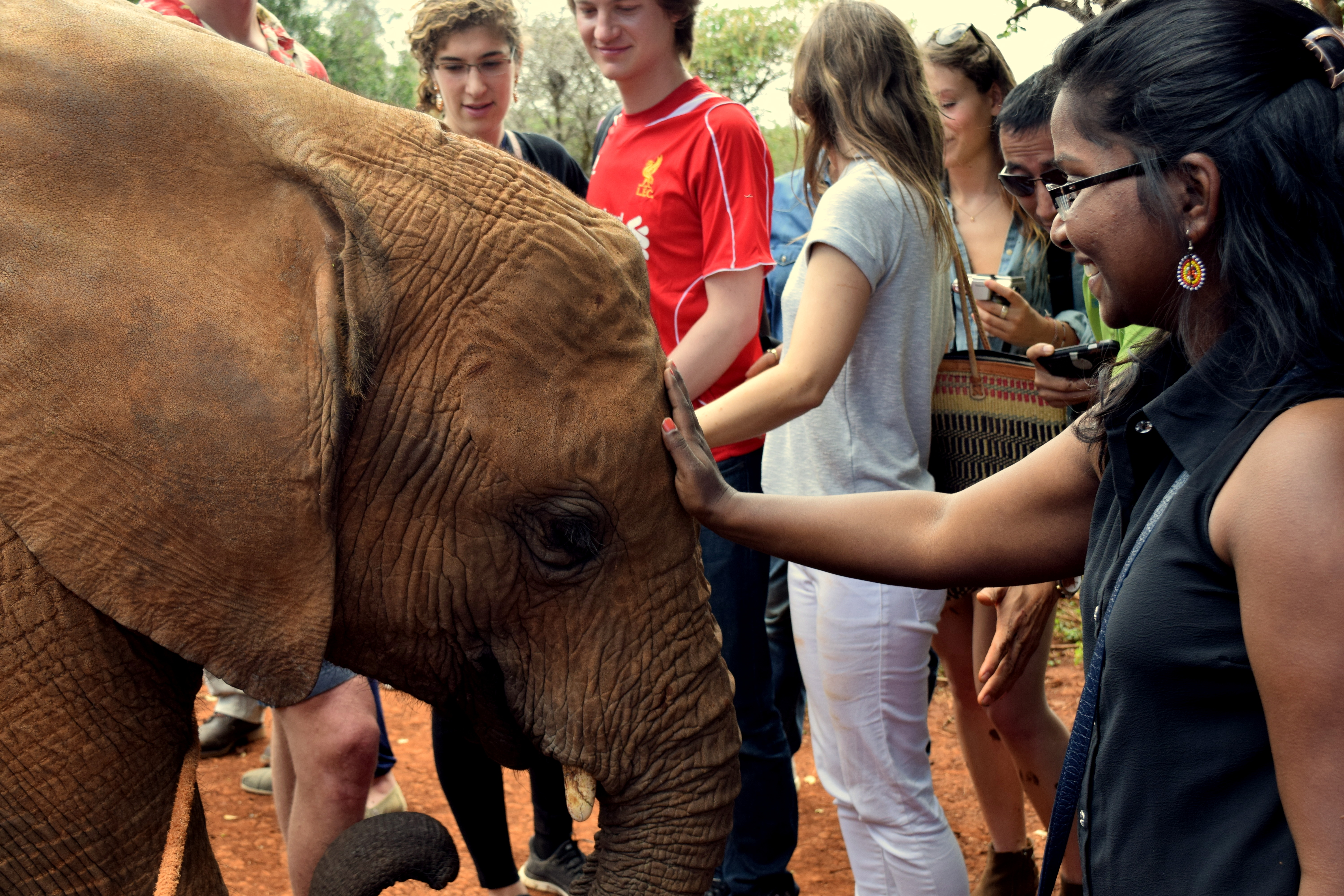 David Sheldrick_Nairobi18