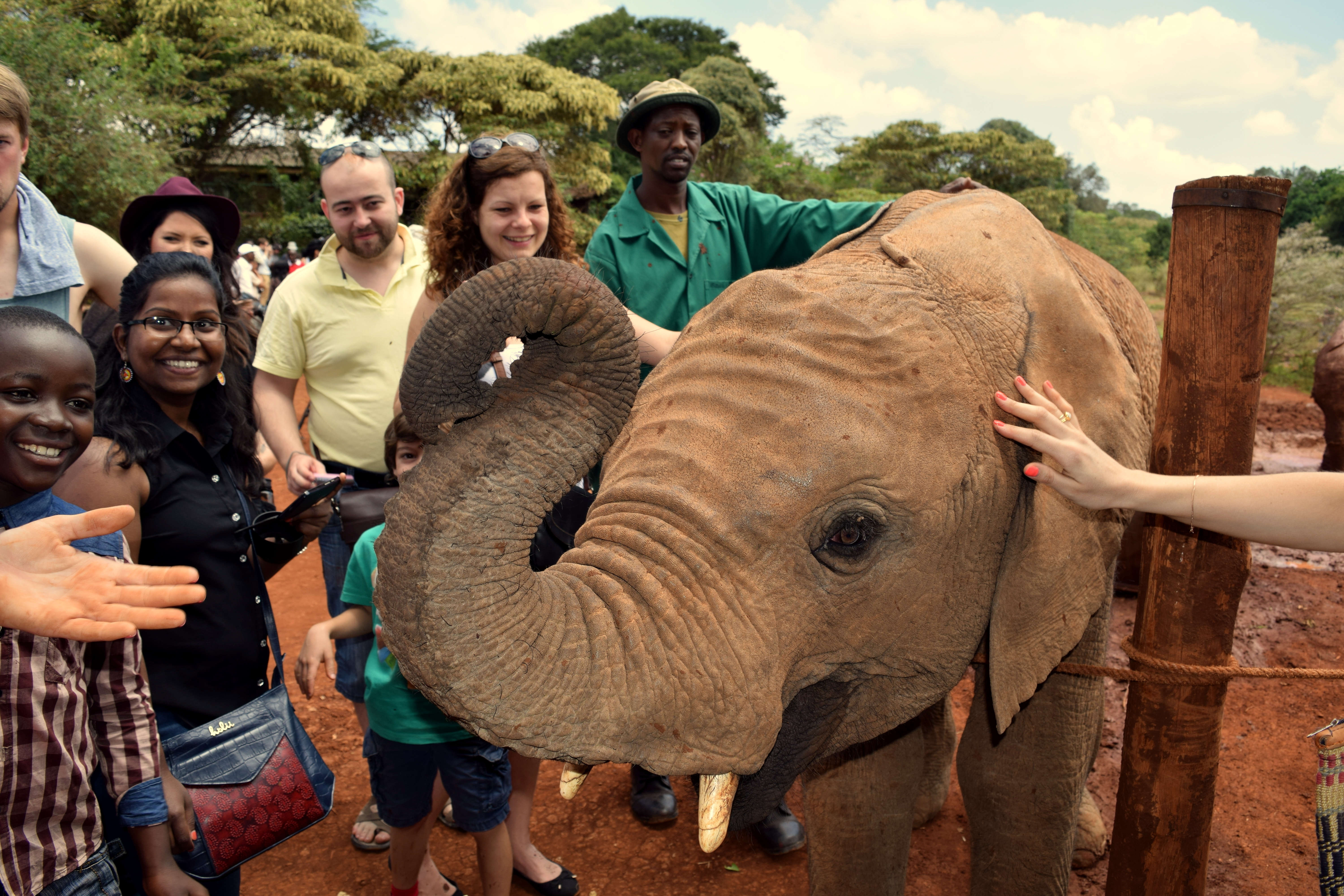 David Sheldrick_Nairobi19