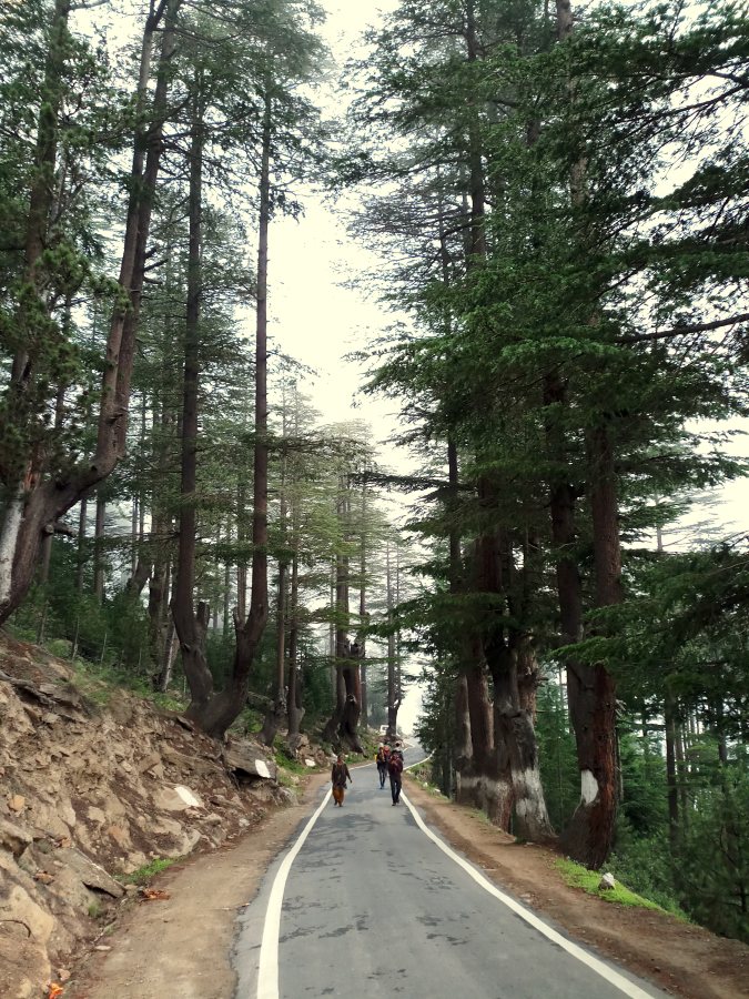 Road to kalpa