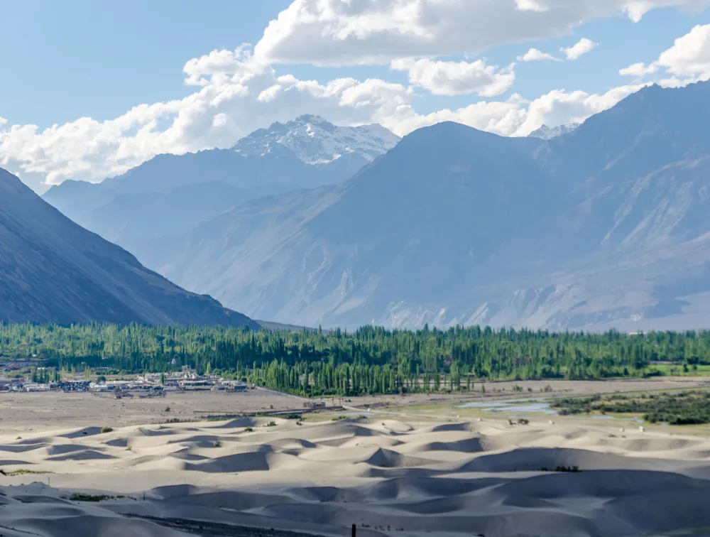 The orchard of charm in Nubra Valley - Hand of Colors