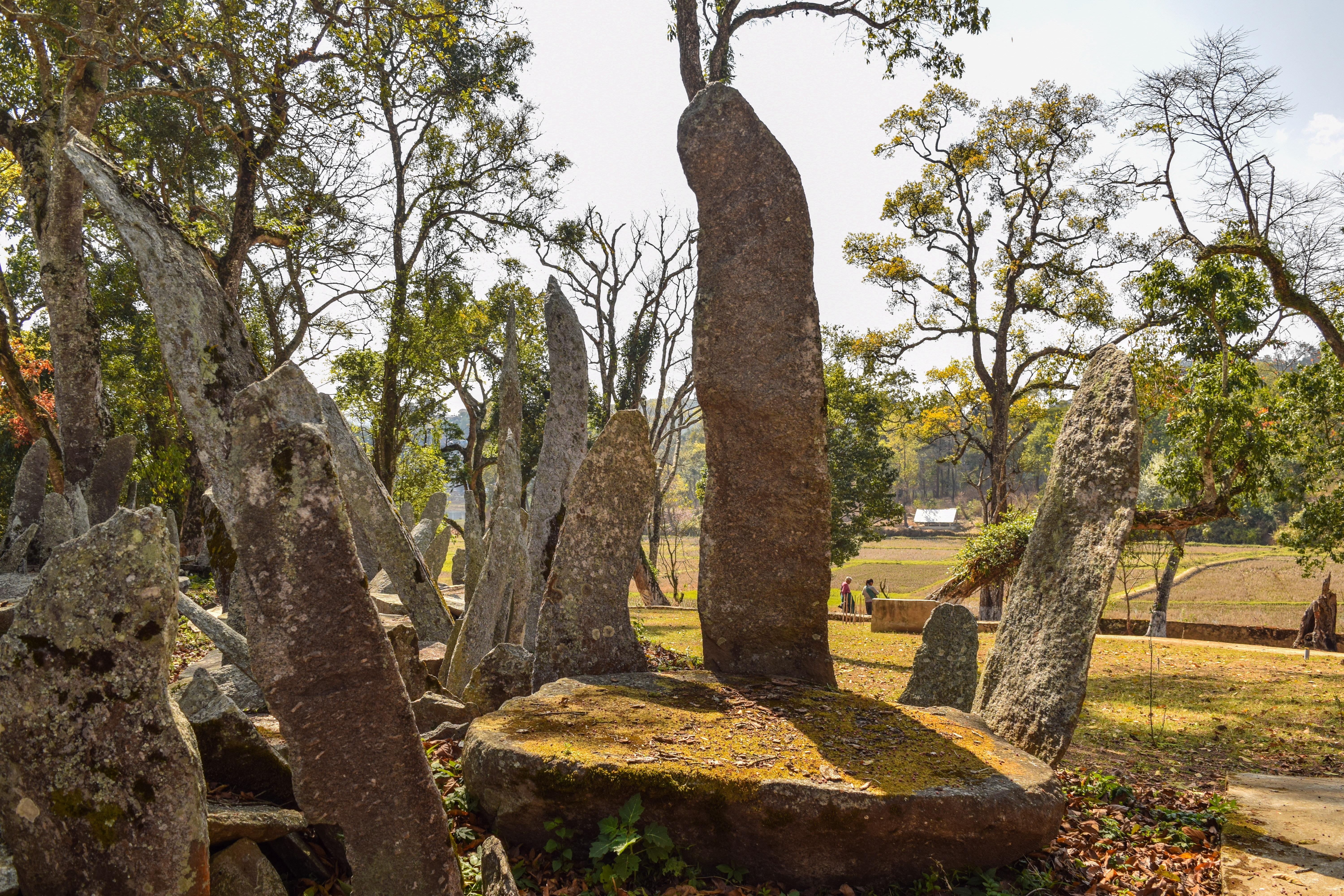 Woman Walks Through Nartiang Monoliths Jayantia Editorial Stock Photo -  Stock Image | Shutterstock