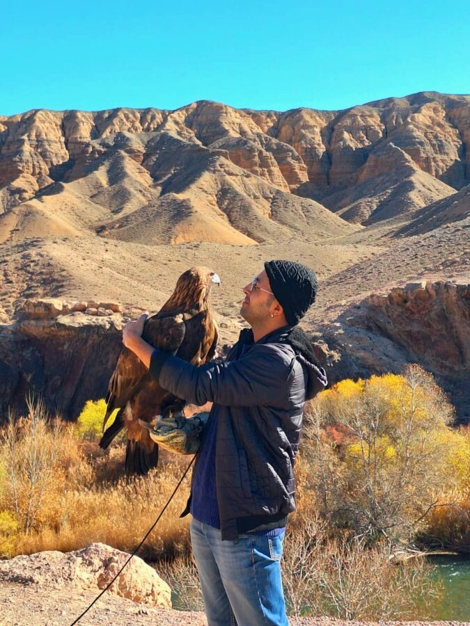 Steppe eagle in the canyons of Kazakhstan