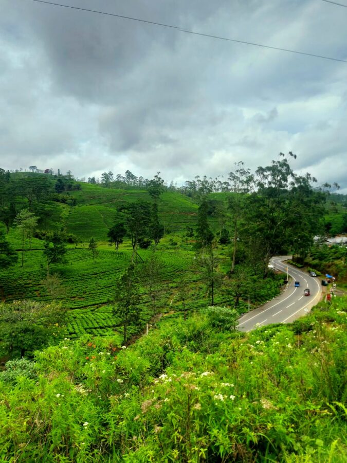 Train to Ella